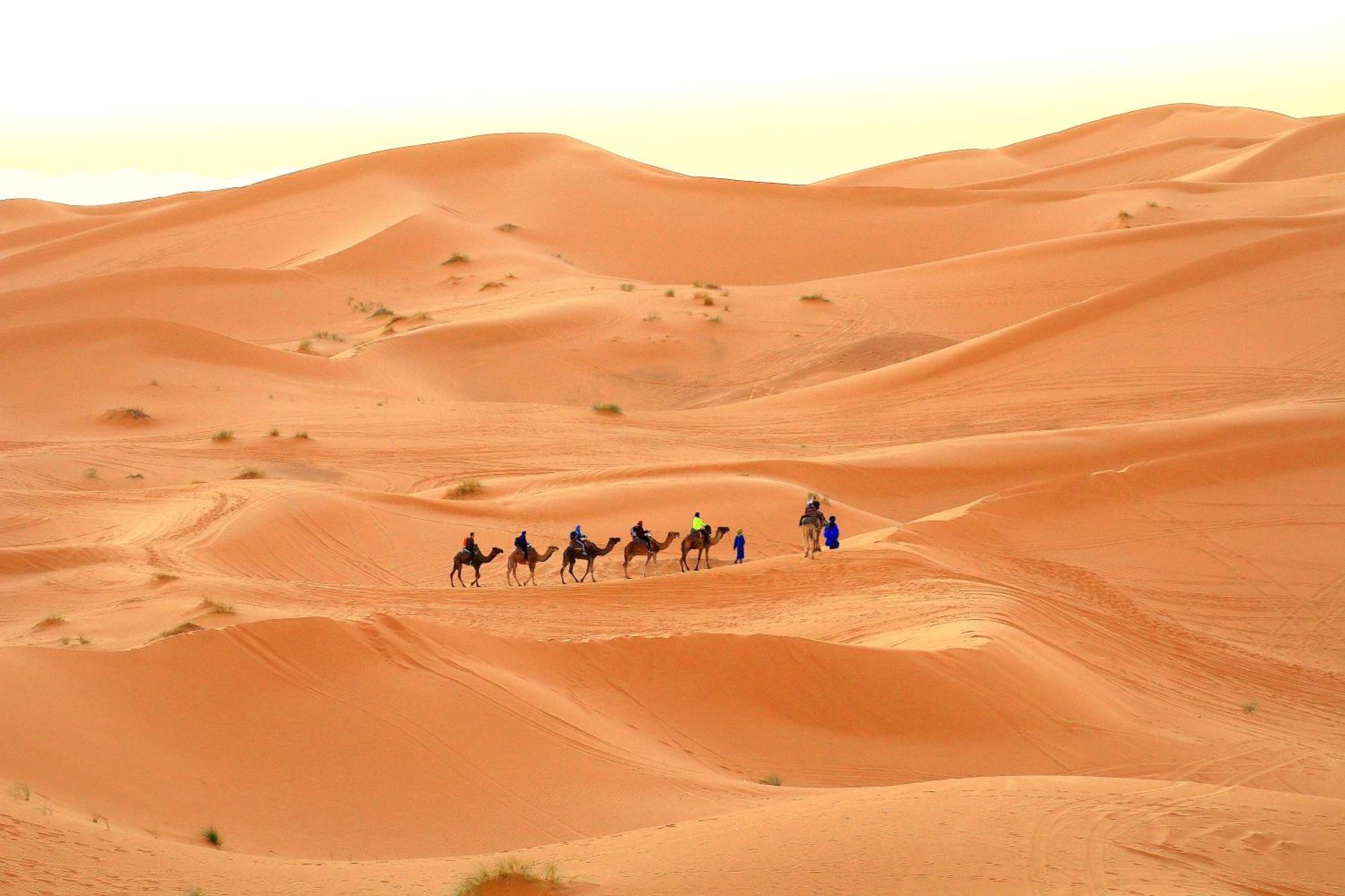 Tafouyte Luxury Camp Hotel Merzouga Room photo